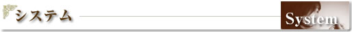 システム